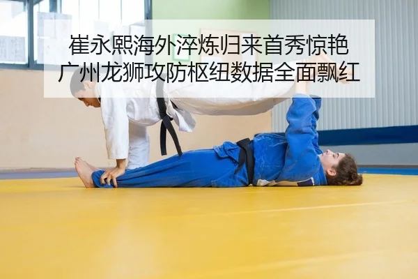 cui-yong-xi-hai-wai-cui-lian-gui-lai-shou-xiu-jing-yan-guang-zhou-long-shi-gong-fang-shu-niu-shu-ju-quan-mian-piao-hong-2-488.jpg