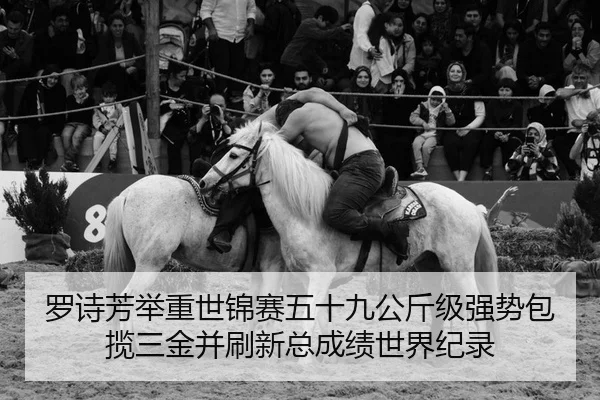 luo-shi-fang-ju-zhong-shi-jin-sai-wu-shi-jiu-gong-jin-ji-qiang-shi-bao-lan-san-jin-bing-shua-xin-zong-cheng-ji-shi-jie-2-648.jpg